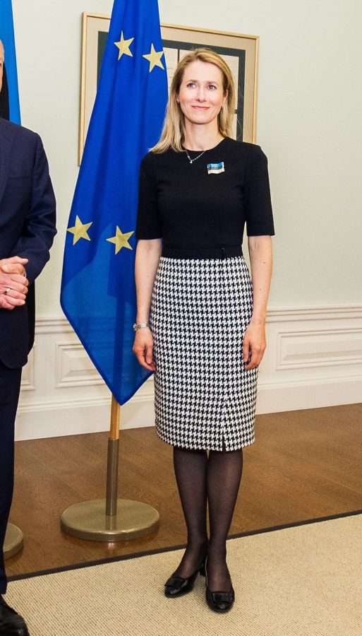 爱沙尼亚美女总理Kaja Kallas腿穿黑丝出席外交活动（第8张/共10张）