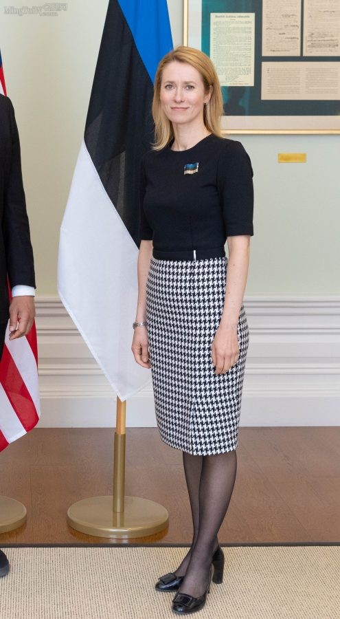 爱沙尼亚美女总理Kaja Kallas腿穿黑丝出席外交活动（第10张/共10张）