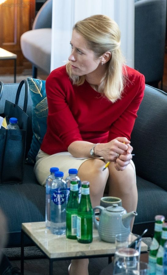 爱沙尼亚女总理Kaja Kallas会议现场的质感丝袜腿（第7张/共11张）